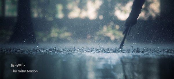 Plum rain season arrived, your villa basement did moisture-proof treatment?