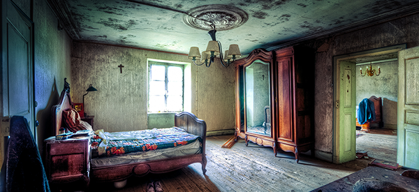 What do you know about humidity and mold?