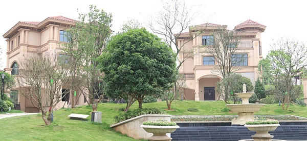 A tree name a courtyard, a world | changsha gold base