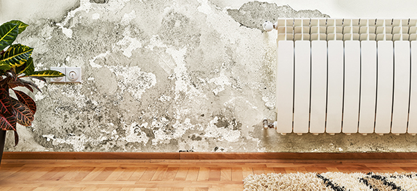 The most complete villa basement moisture-proof walkthrough